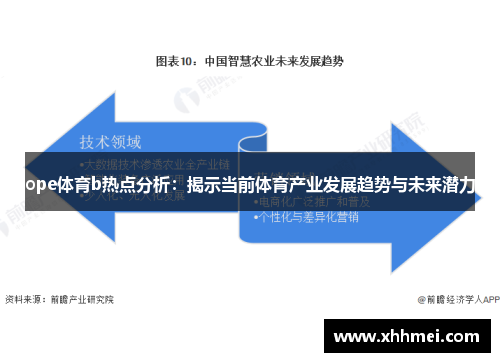ope体育b热点分析：揭示当前体育产业发展趋势与未来潜力