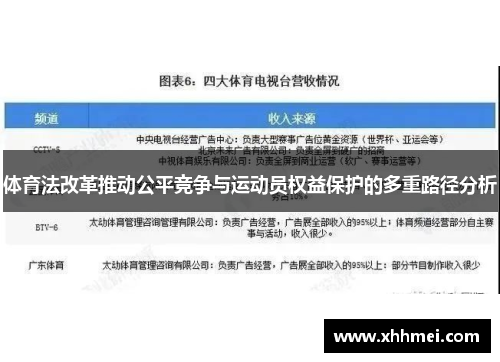 体育法改革推动公平竞争与运动员权益保护的多重路径分析