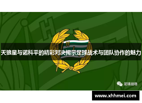 天狼星与诺科平的精彩对决揭示足球战术与团队协作的魅力